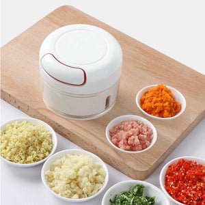 Manual Food Chopper | Quick Vegetable Cutter & Garlic Chopper | Mini Food Processor